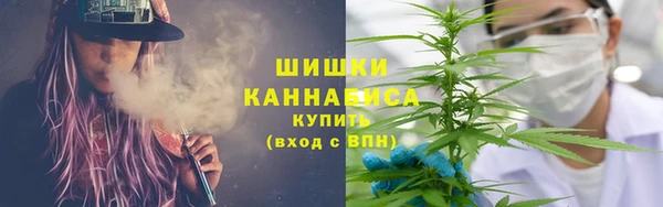 амф Аркадак