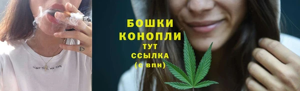 амф Аркадак