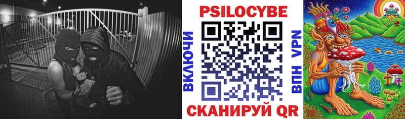 Галлюциногенные грибы Psilocybine cubensis  дарнет шоп  OMG   Спасск-Рязанский 